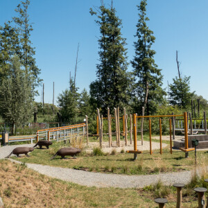 P8090001